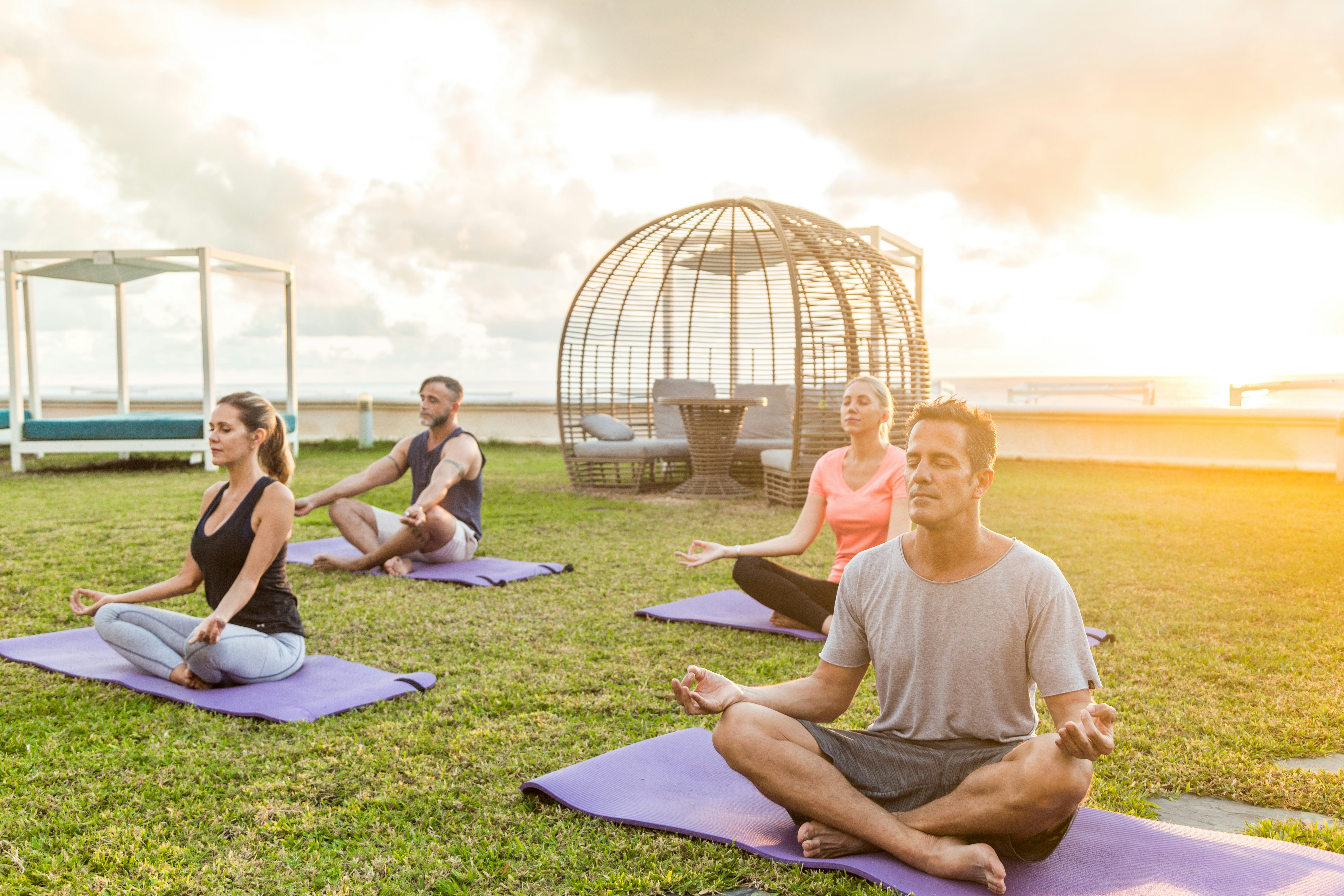 Corporate wellness program